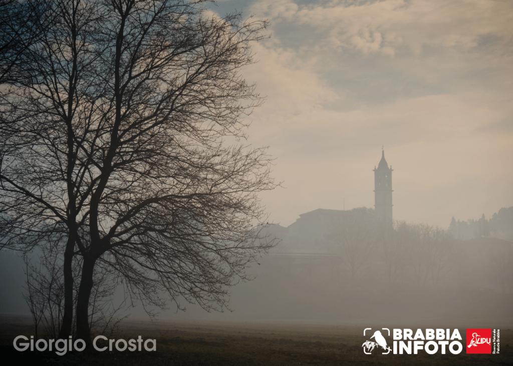 Nebbia in palude - Giorgio Crosta