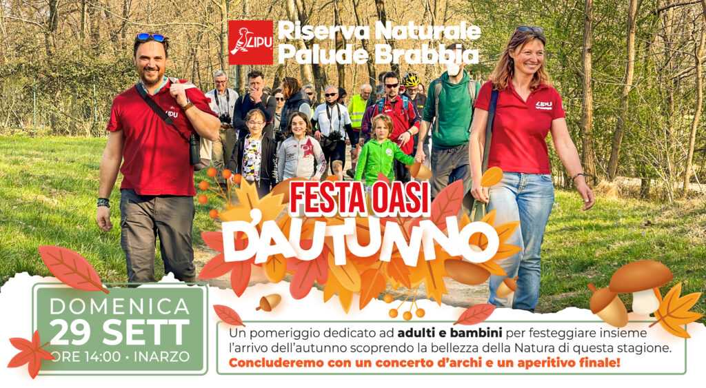 Banner Festa dAutunno 2024 Banner orizzontale POST