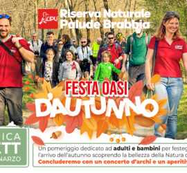 Banner Festa dAutunno 2024 Banner orizzontale POST