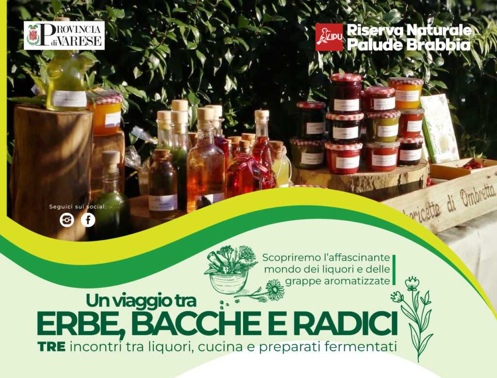 erbe bacche e radici 23 9 23 02