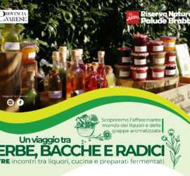 erbe bacche e radici 23 9 23 02