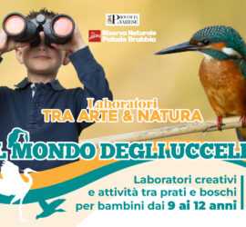 Arte e Natura Banner