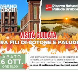 Visita Guidata nella Varano Borghi storica e all'interno della Riserva Naturale Palude Brabbia, Oasi LIPU