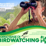 Corso di Birdwatching 2025