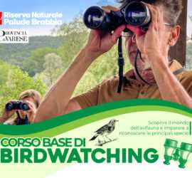 Corso di Birdwatching 2025