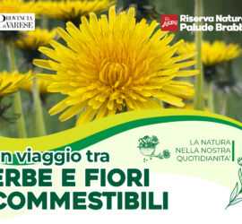 Corso piante LIPU 2025 02