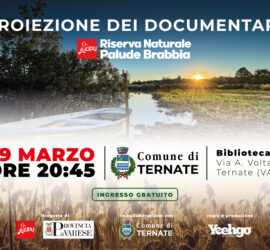 Locandina Proiezioni Ternate 29 Marzo 2025 02