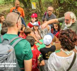 Festa dAutunno 2024 Riserva Naturale Palude Brabbia 35