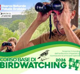 Corso di Birdwatching 2026 02 2