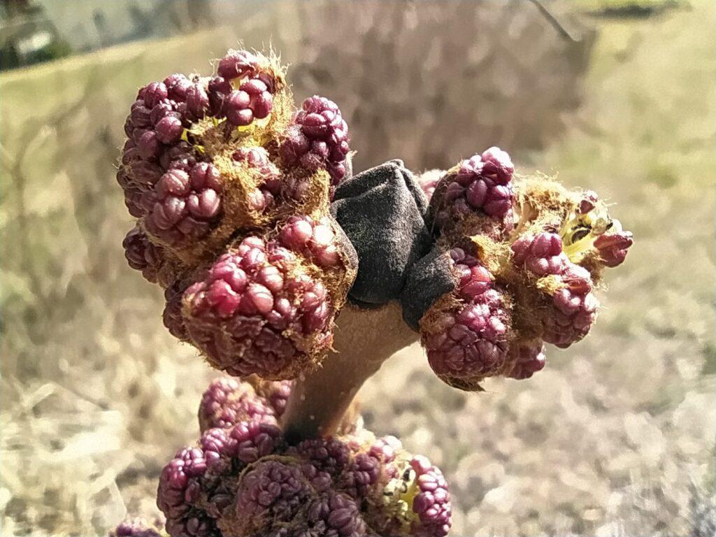 fa1b6044 59a2 48ac 9547 586105a1387b